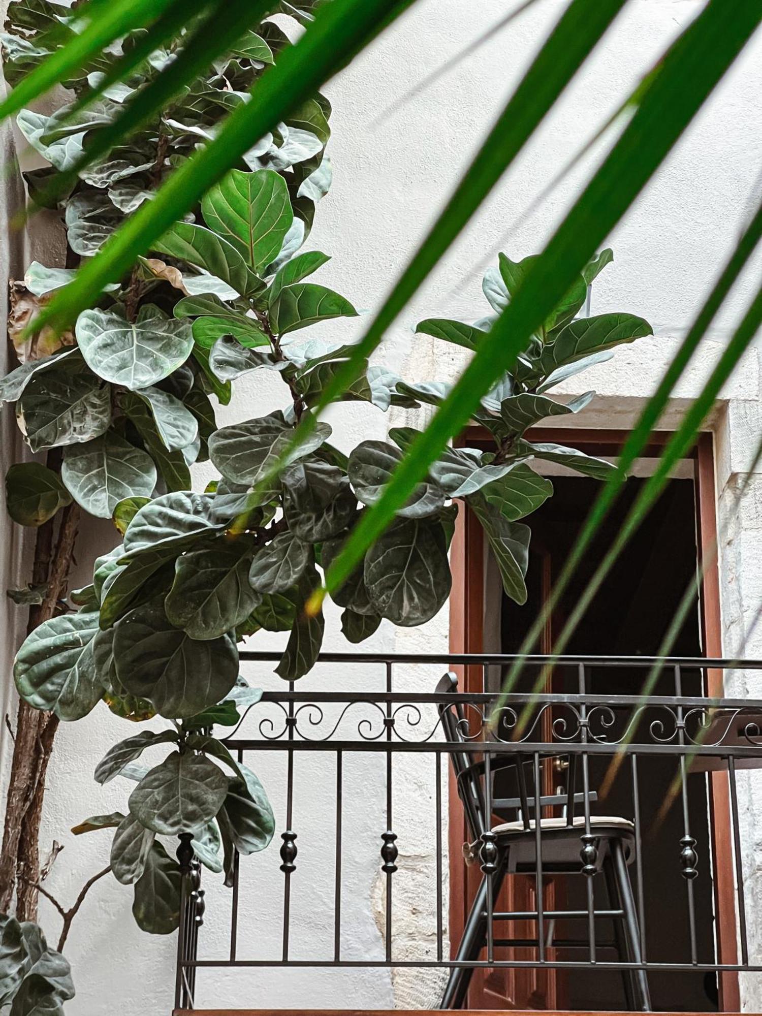 Casa Dei Delfini Hotel Rethymno  Bagian luar foto