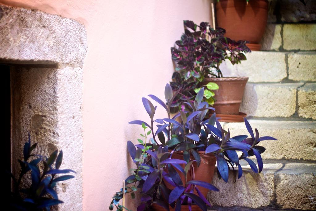 Casa Dei Delfini Hotel Rethymno  Bagian luar foto