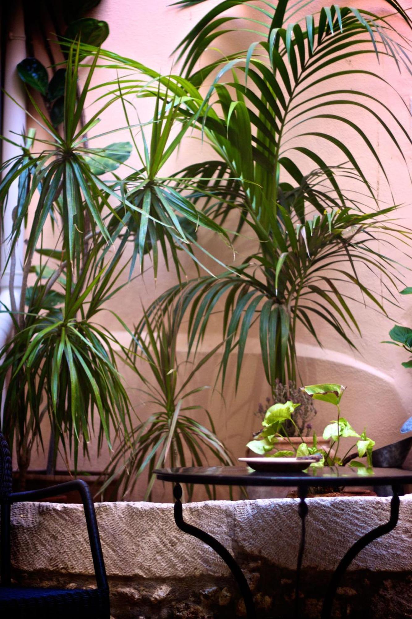 Casa Dei Delfini Hotel Rethymno  Bagian luar foto